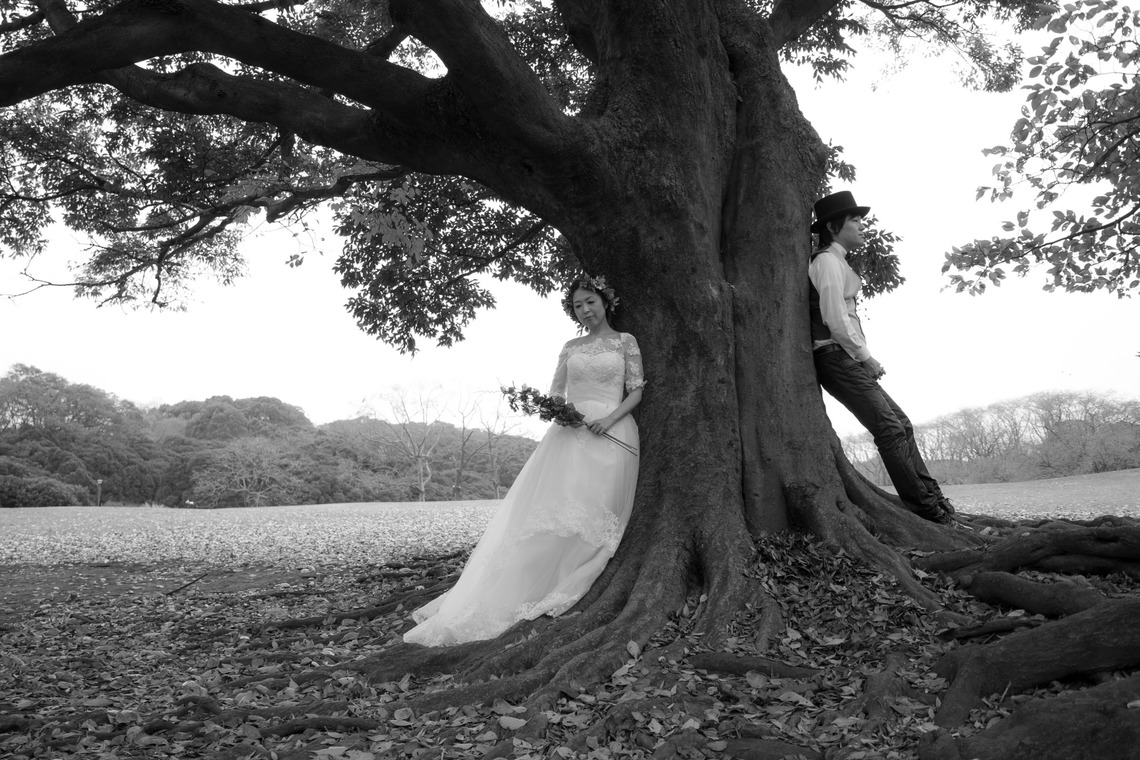 knot wedding photography