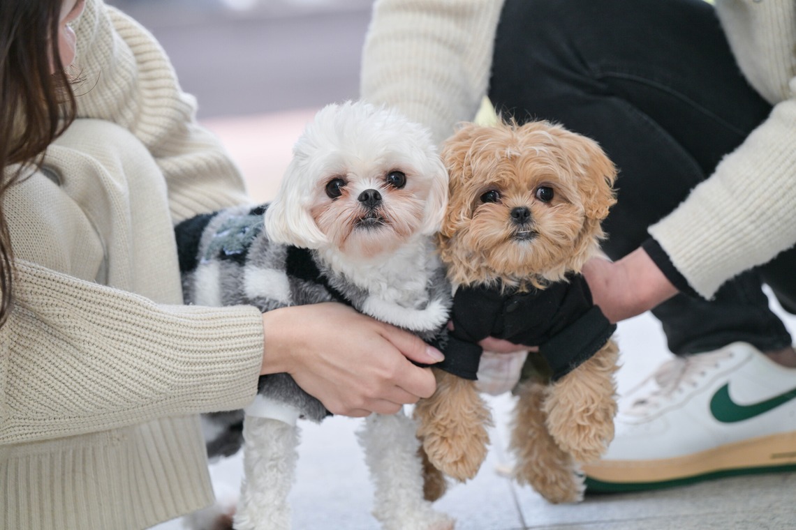 後藤豊陽が撮影した「記念日撮影」の写真