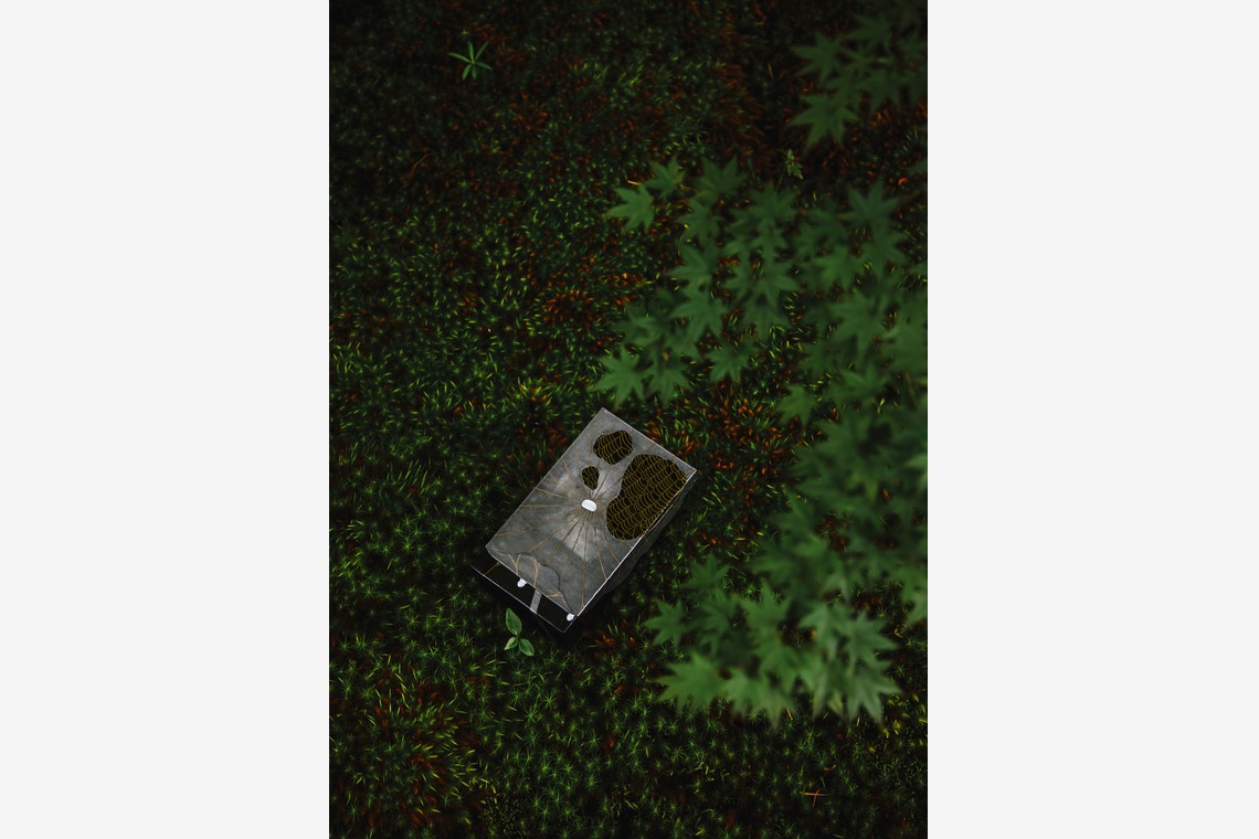 kiharu&photoが撮影した写真のアルバム「螺鈿細工【展覧会カタログ用撮影】」