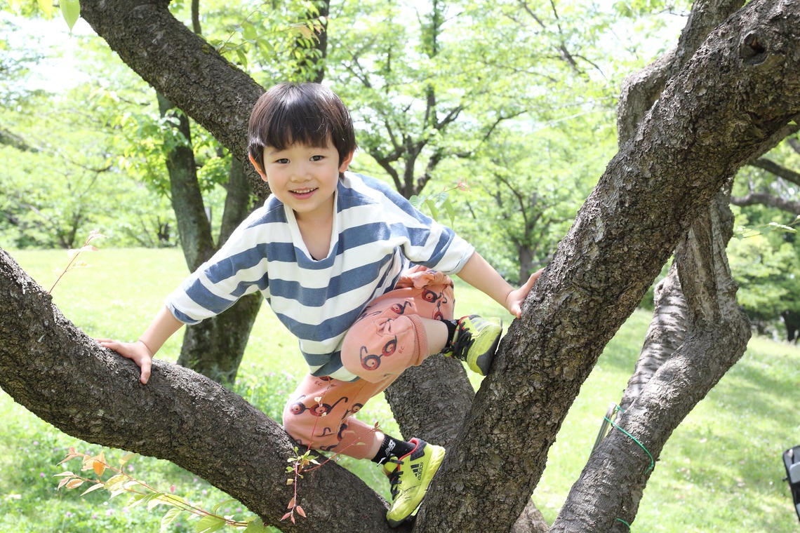 森安　照が撮影した「幼児、子供、赤ちゃん」の写真