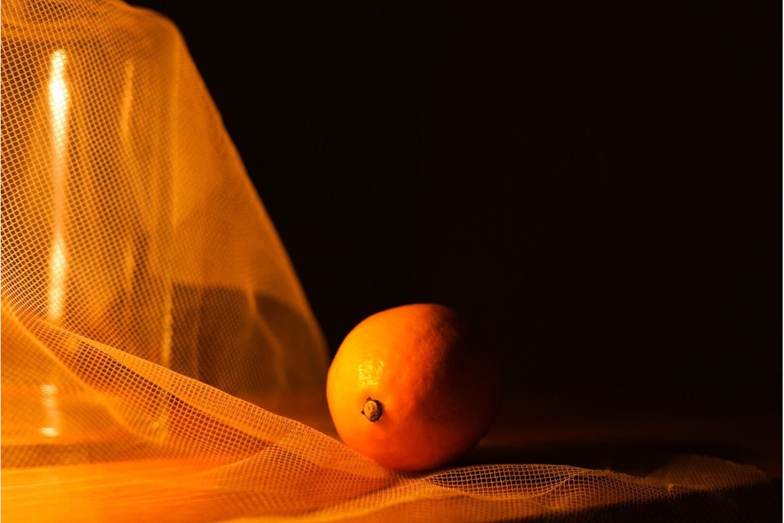 コウヤマレイナが撮影した写真のアルバム「静物」