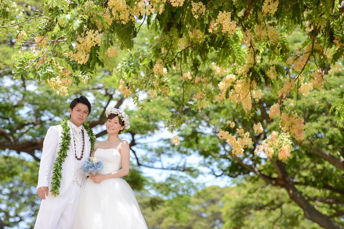 Album of the Wedding, Bridal taken by CINEVIE - 