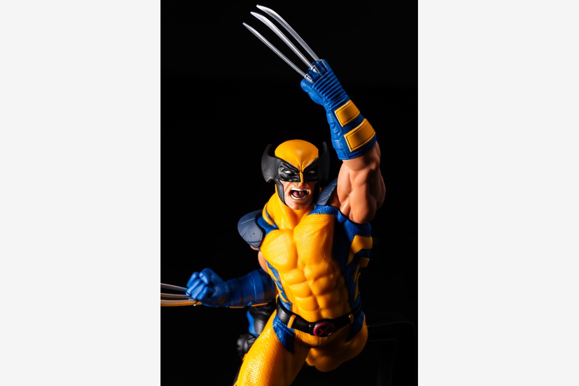 写真屋ごんちゃんが撮影した「figure」の写真