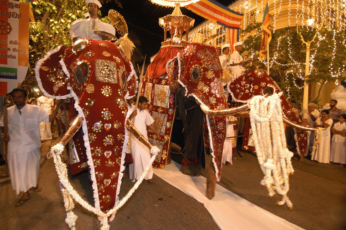 梶田　誠が撮影した「スリランカ　ペラヘラ祭り」の写真
