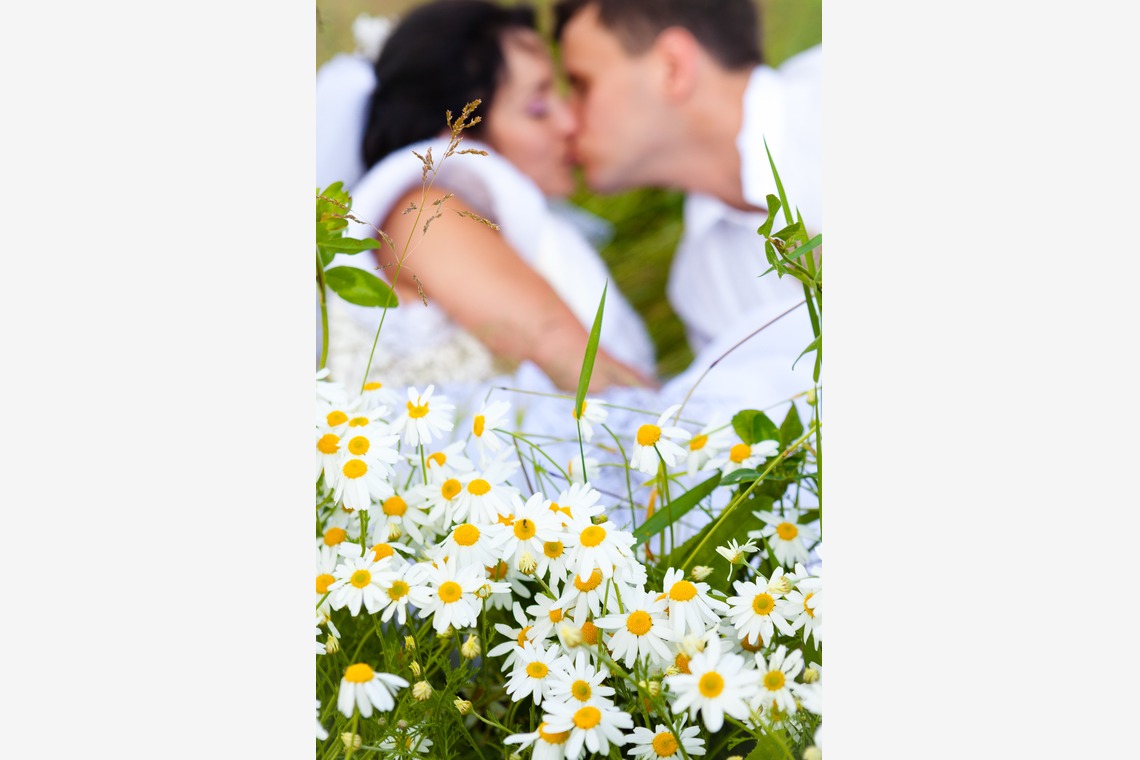 Wedding Photography Dubaiが撮影した「ドバイで???カメ」の写真