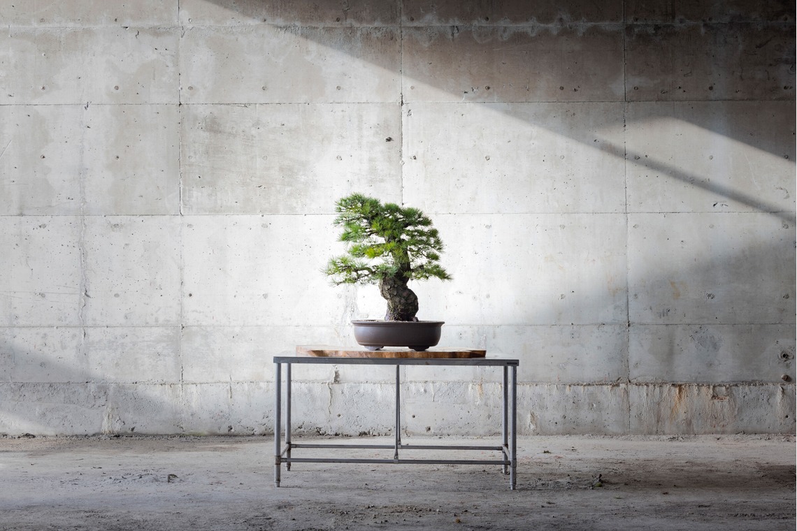 梅田　紫邑が撮影した「物撮り撮影」の写真