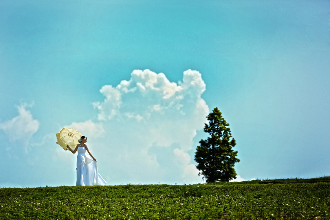 STUDIO Giroux (木下令)が撮影した「フォトギャラリー」の写真