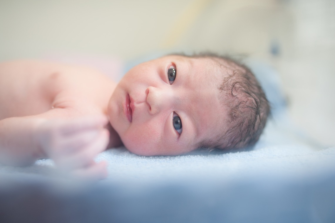 大舘洋志が撮影した「」の写真