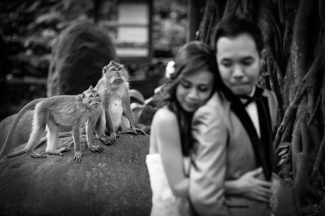 Dstudio Photography Baliが撮影した「バリ」の写真