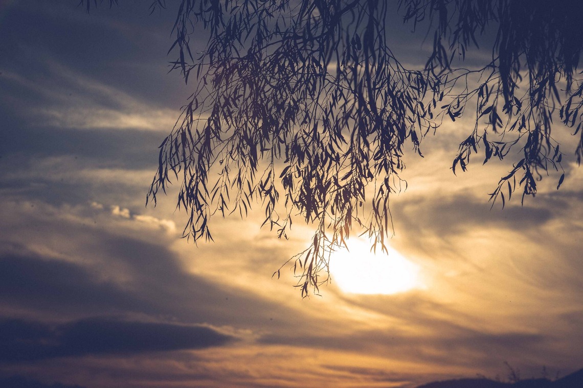 Sunstore 三條康貴が撮影した写真のアルバム「風景」