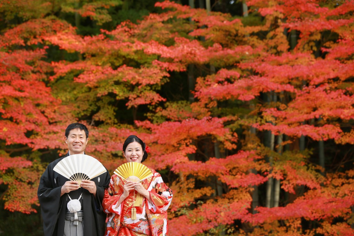 Hayashi Photo Worksが撮影した「奈良フォト」の写真