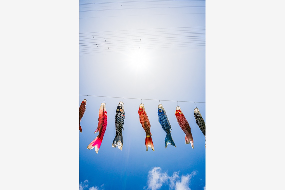 高木勇斗が撮影した「風景　物撮り」の写真