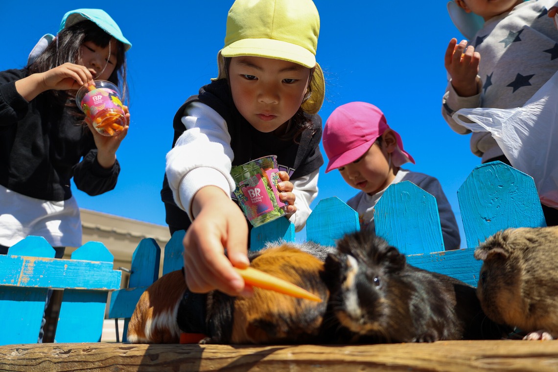 WithshopJapanが撮影した写真のアルバム「スクールフォト」