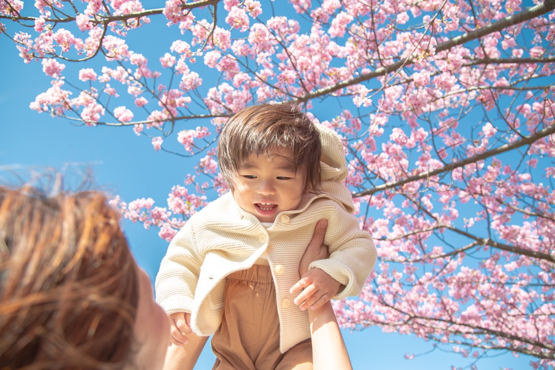 ゆのみふぉとが出張撮影した家族写真(キッズ,ベビーフォト)などが写った「桜とお写真」の家族写真
