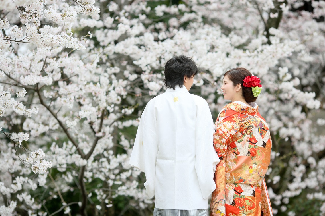 Photo of I begin to strike it with a salted cherry leave and a castle. taken by KIKIウェディング