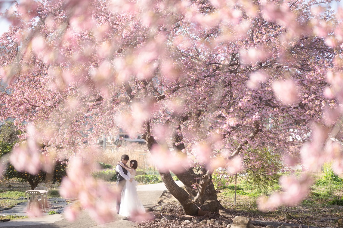 石田誠写真事務所が撮影した「ポートレート」の写真