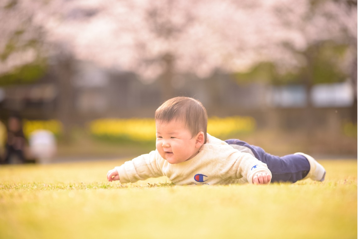 Lightgraphyが撮影した「桜の下の親子フォト」の写真
