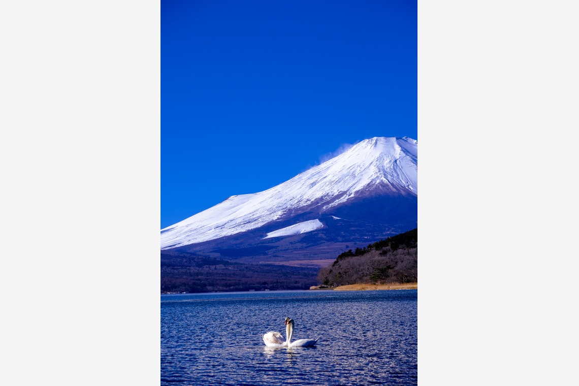 スタジオファンタスが撮影した写真のアルバム「富士山」
