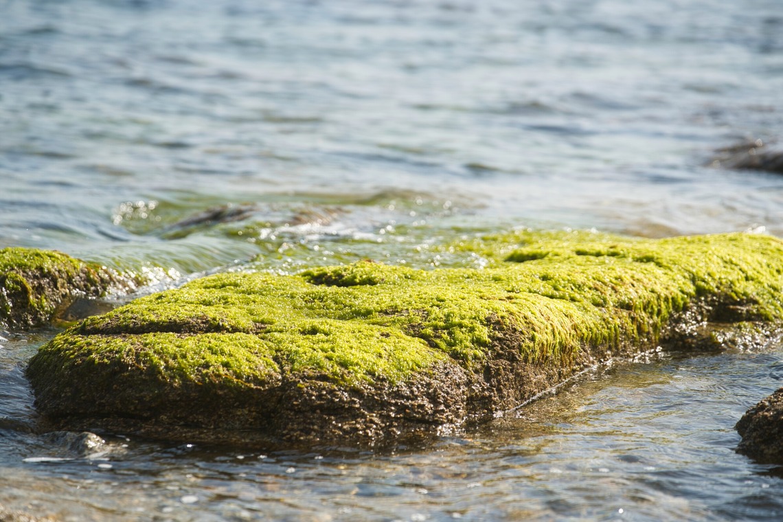 Tak Ogawa photographer