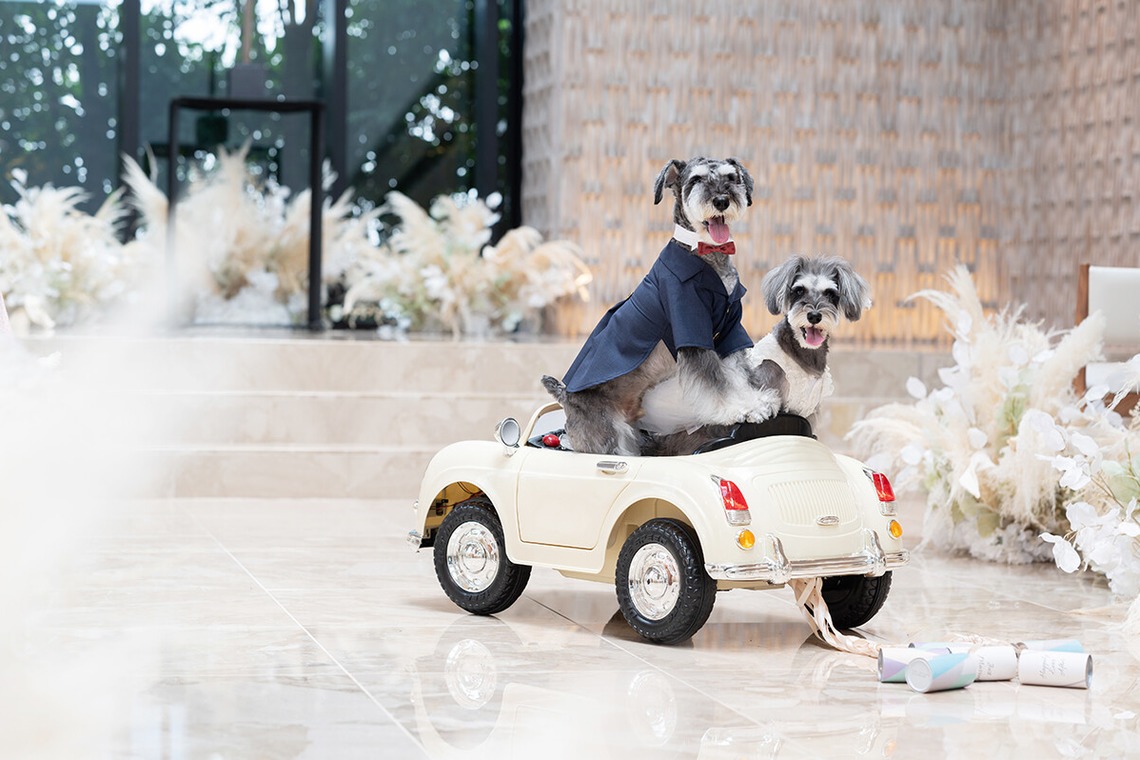 UEKIが撮影した写真のアルバム「商品撮影」