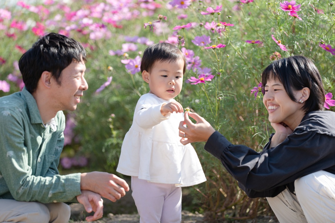 福永写真事務所が撮影した「家族写真（コスモス畑）」の写真