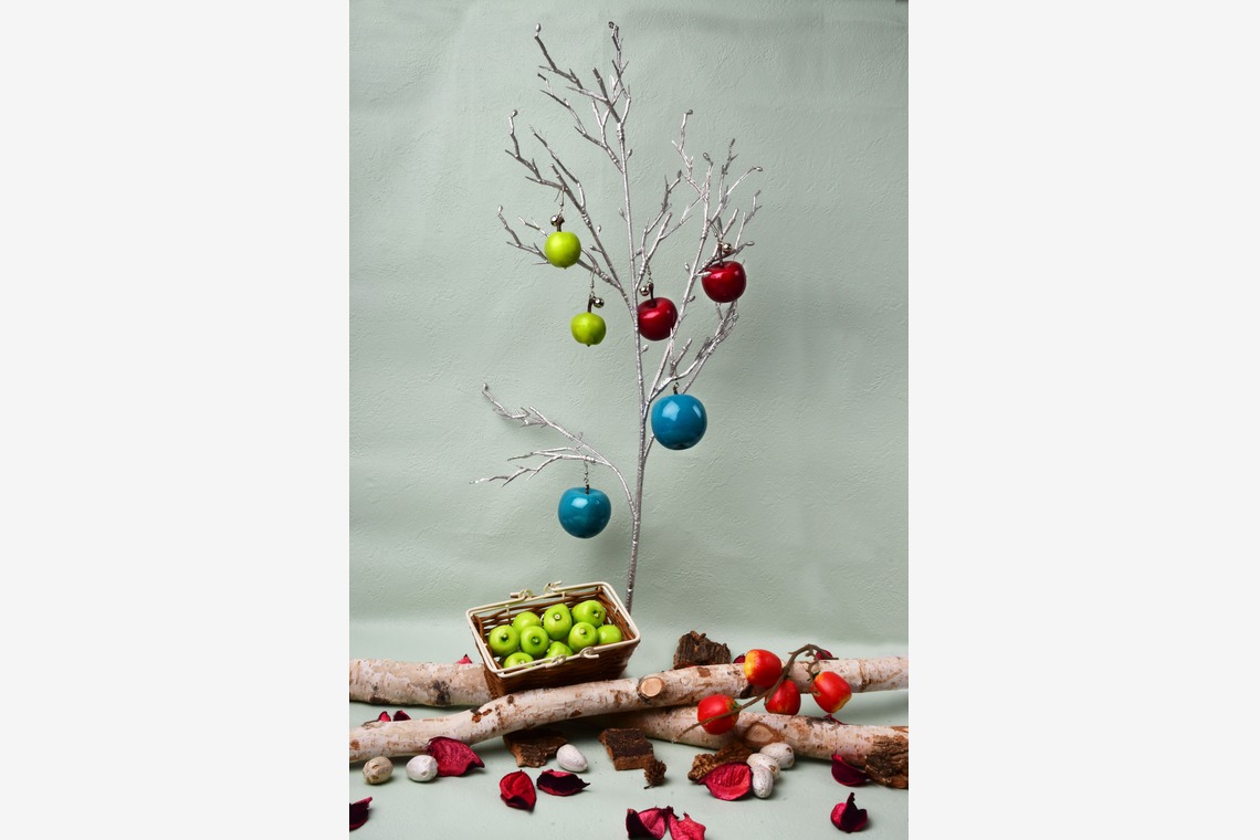 日高恵が撮影した「自宅スタジオ」の写真