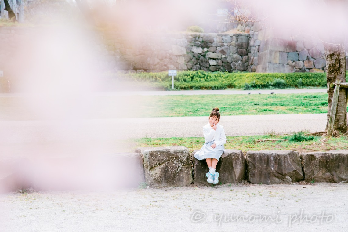 ゆのみふぉとが撮影した家族写真の出張撮影のアルバム「桜とお写真」