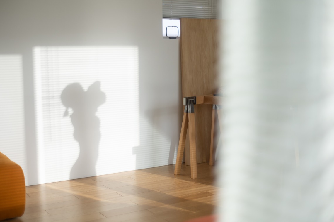 眞田 厚司が撮影した「ポートレート・ファッション」の写真