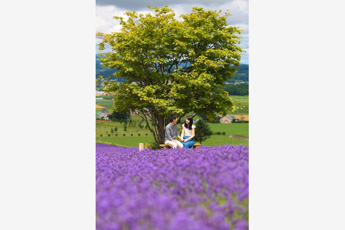 studio-jが撮影した写真のアルバム「エンゲージフォト」