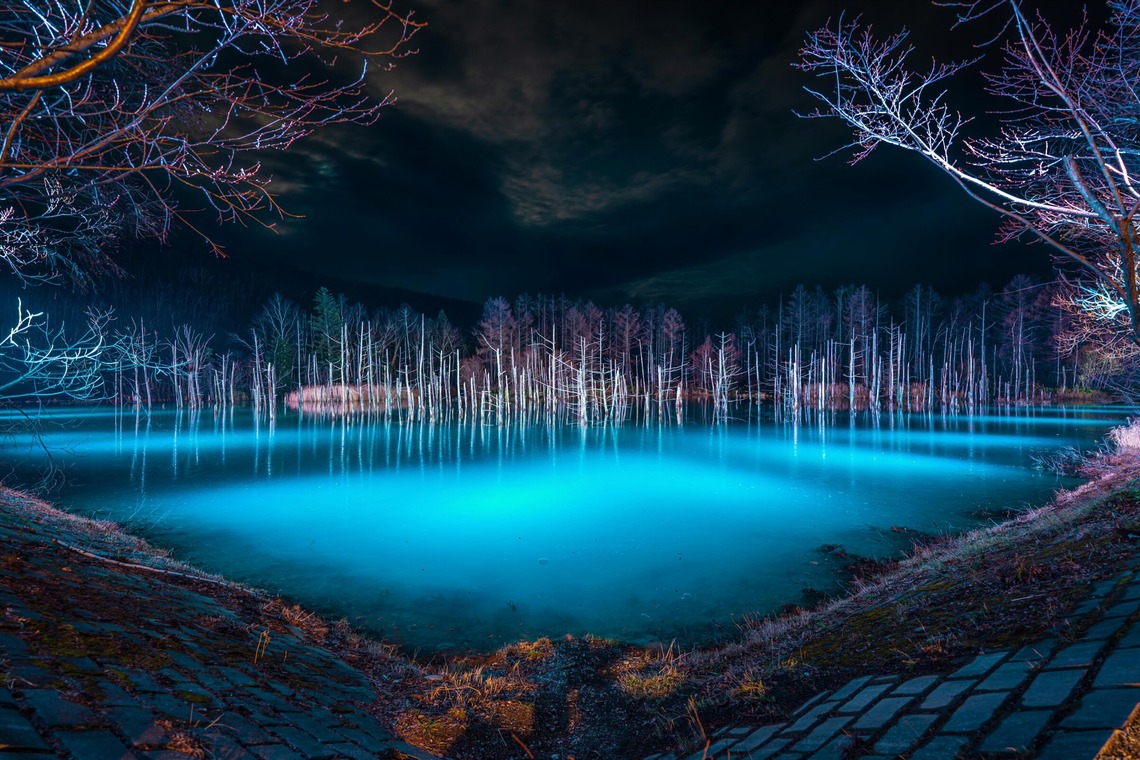 高木勇斗が撮影した「風景」の写真