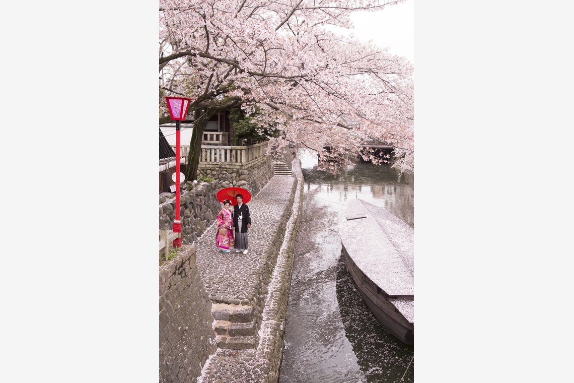 STUDIO NOUVEAU（スタジオ ヌーボ）が撮影した「ロケーションフォト_京都・岐阜」の写真