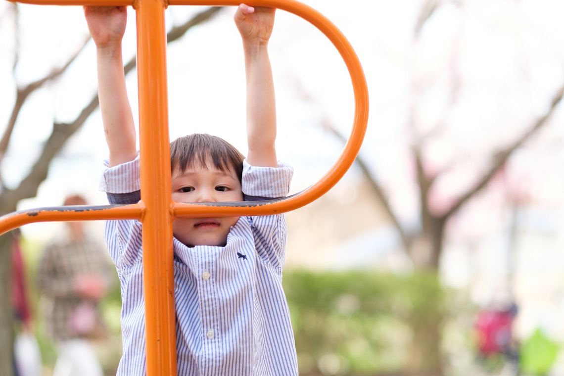高野和希が撮影した「桜での家族フォト」の写真
