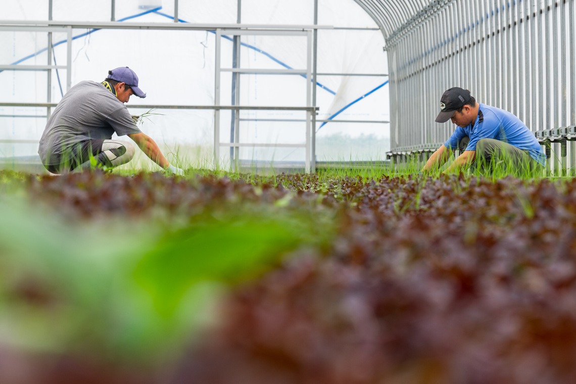 出張撮影TLaboが撮影した「求人用　職場風景の撮影」の写真