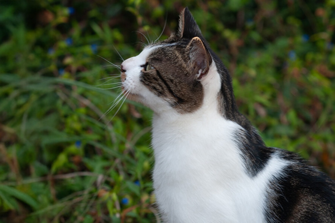 十時写真事務所