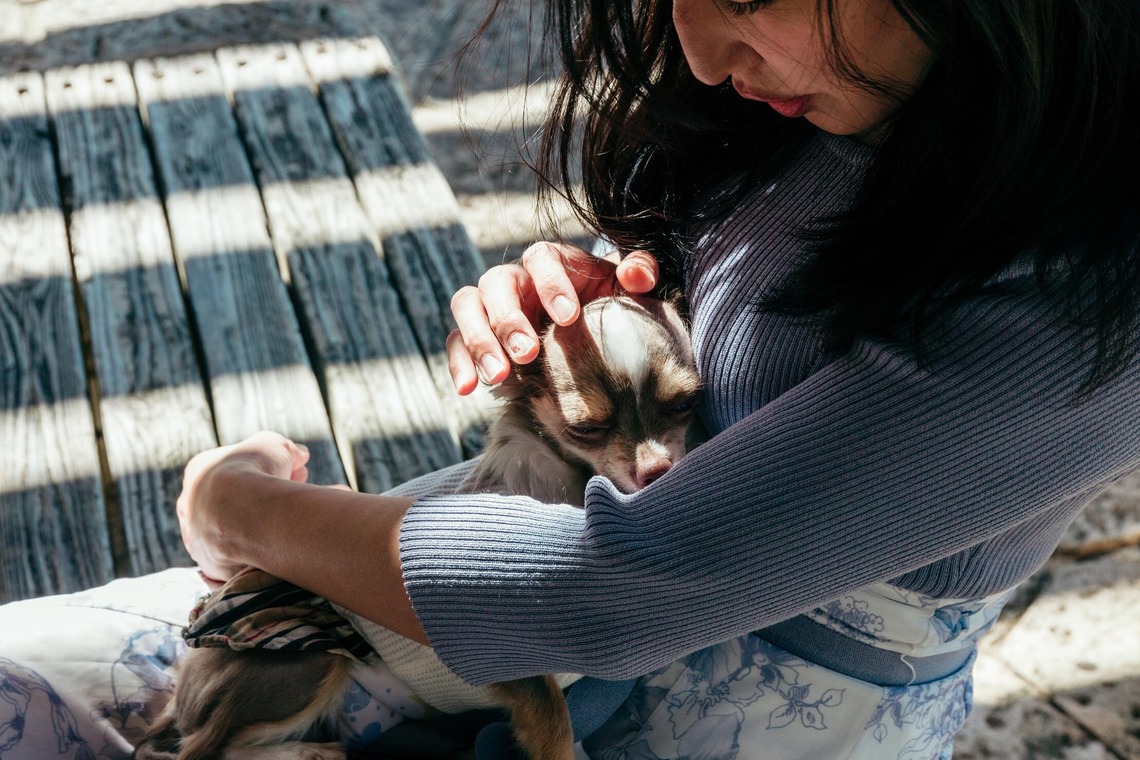 ポートレート沖縄が撮影した「ペット撮影」の写真