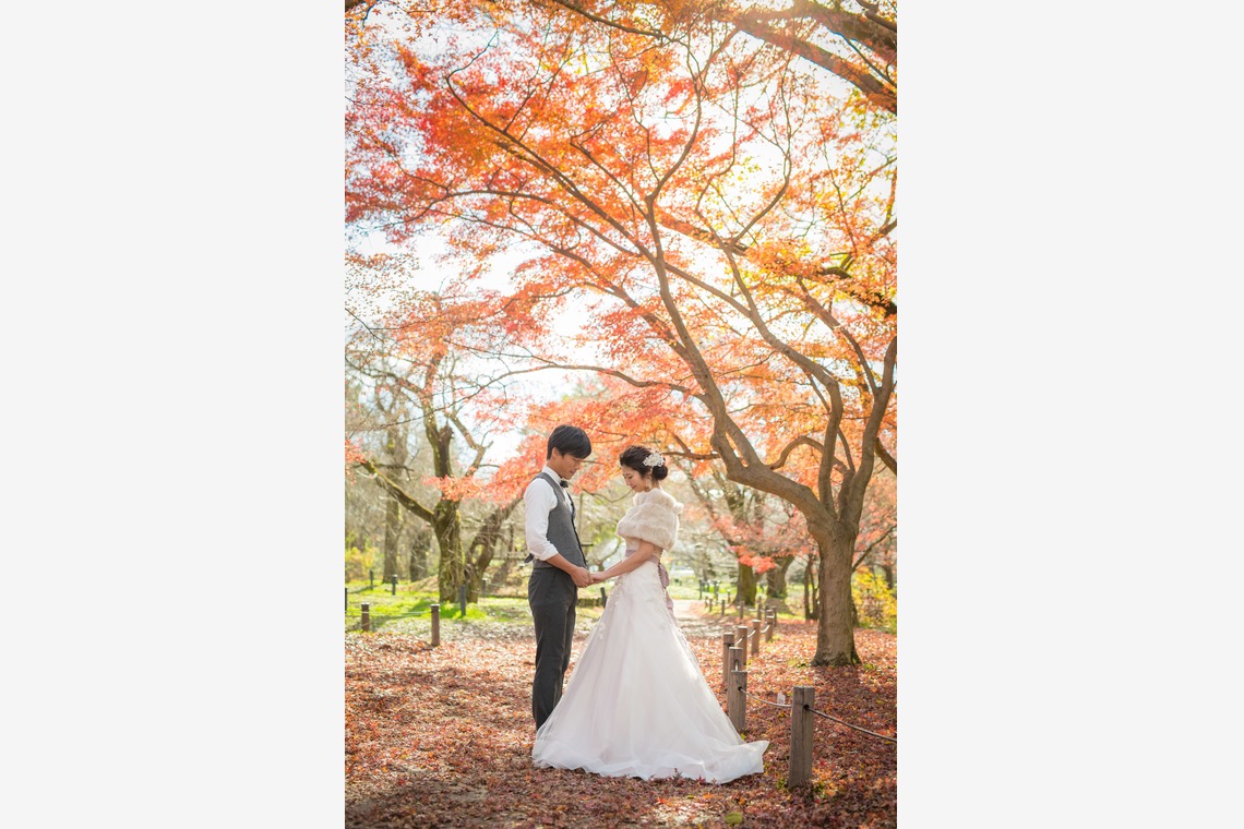 SORAIRO（吉川聖司）が撮影した「京都紅葉ロケーションドレス」の写真