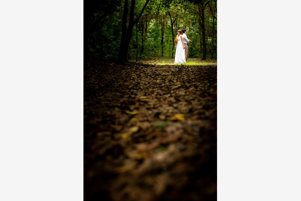 小林が撮影した写真のアルバム「ロケーションウエディング」