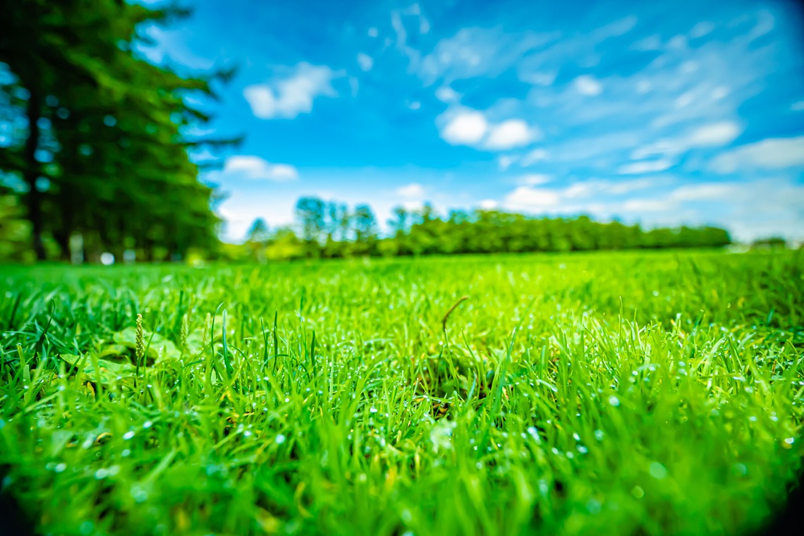 高木勇斗が撮影した「風景　物撮り」の写真