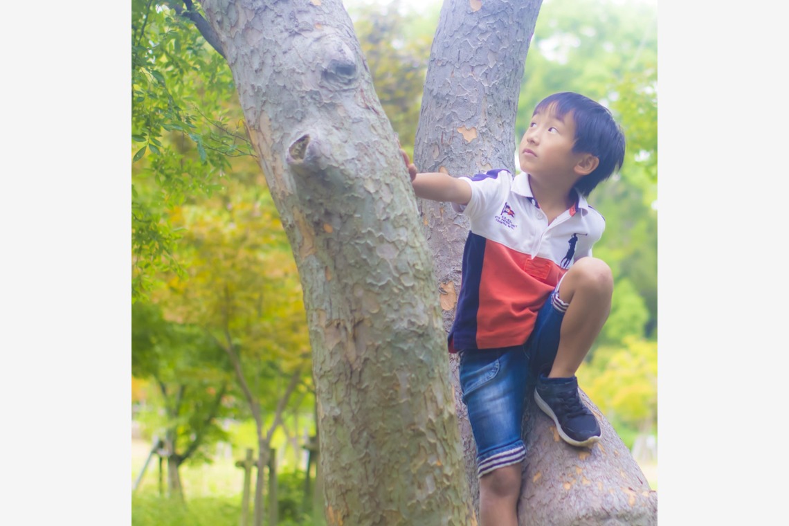 出張フォトCana-Lが撮影した「」の写真