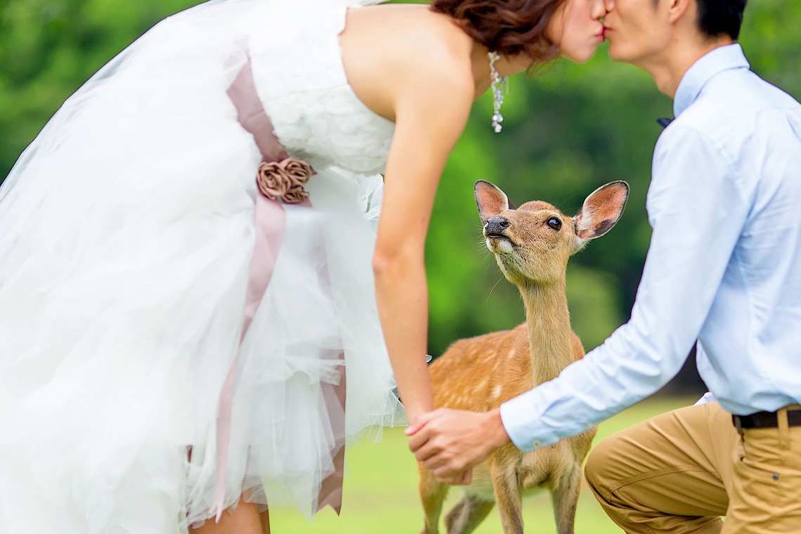 2 of usが撮影した「photo @ Kyoto」の写真