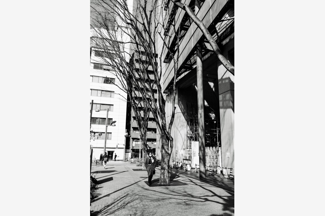 KotobukiPhotosが撮影した写真のアルバム「ストリートスナップ」