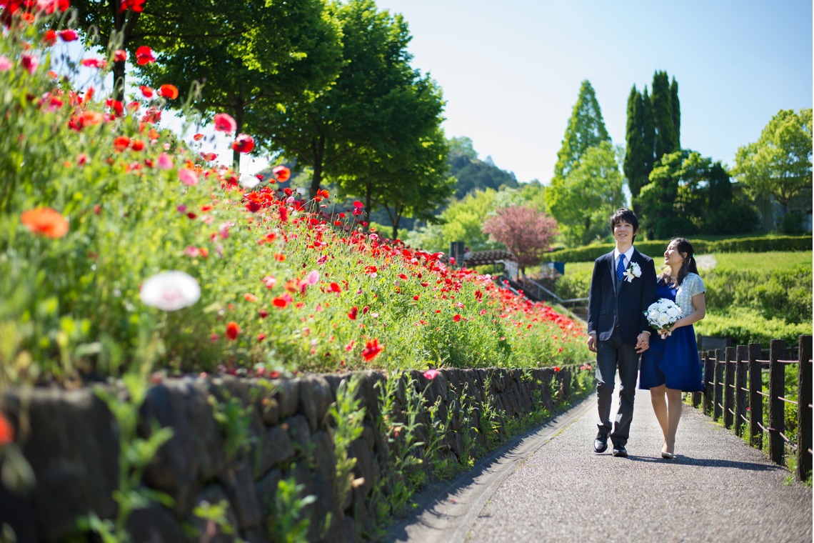 Album of the Engagement Photography taken by 坂川直紀 - engagement