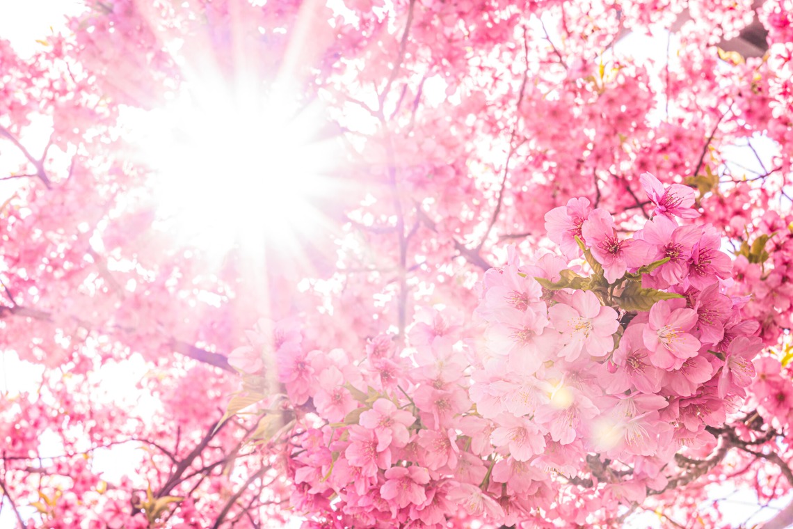 高木勇斗が撮影した写真のアルバム「風景　物撮り」