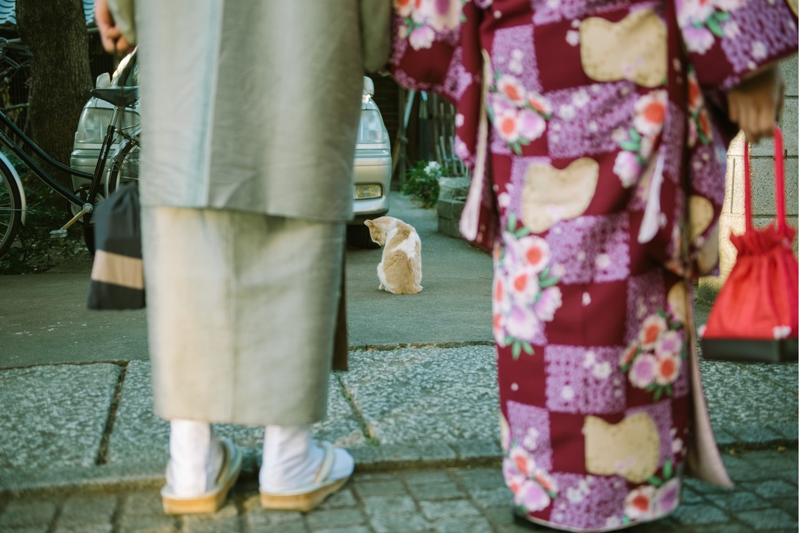 ユウコン　フォトグラフィーが撮影した写真のアルバム「モニター撮影」