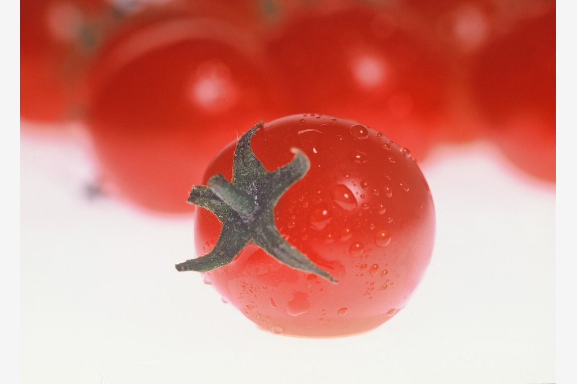 Photo BASEが撮影した写真のアルバム「メニュー撮影、物撮り、イメージ」