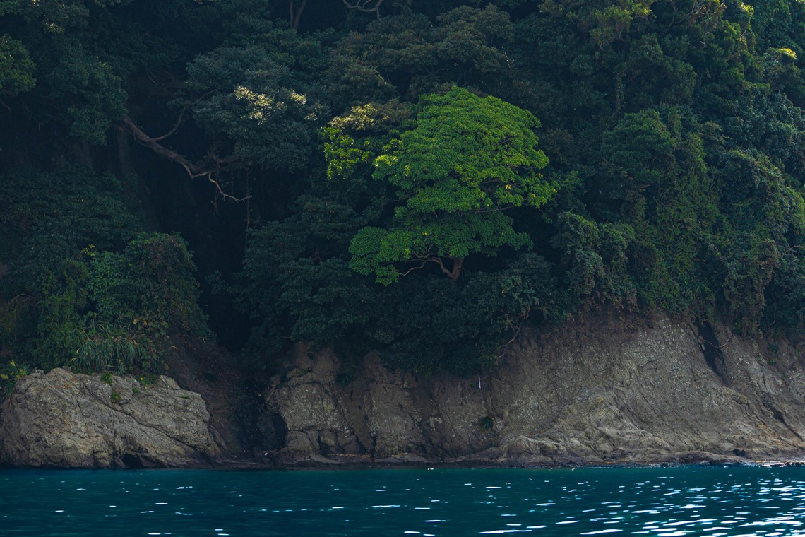 沖山俊樹が撮影した「風景_20221003_湘南」の写真