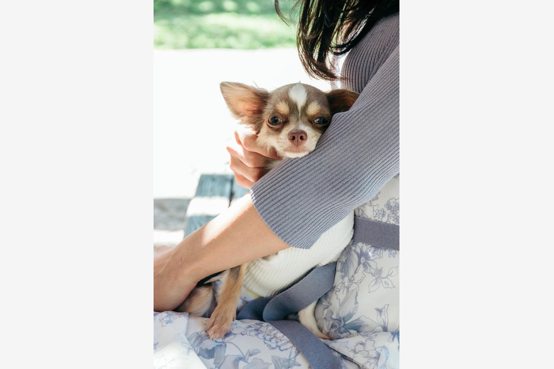 ポートレート沖縄が撮影した「ペット撮影」の写真