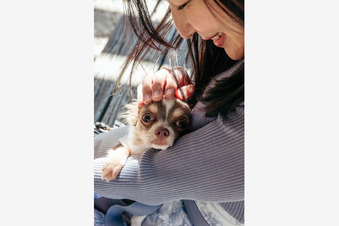 ポートレート沖縄が撮影した「ペット撮影」の写真