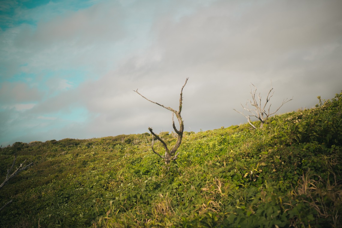 三橋宣貴が撮影した旅行先の記念撮影のアルバム「神津島旅行の思い出」