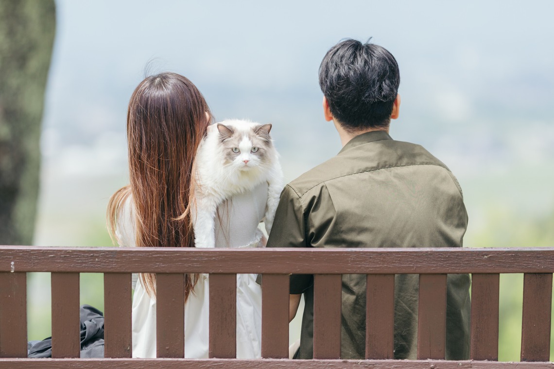 光画堂スタジオが撮影した「旅行」の写真